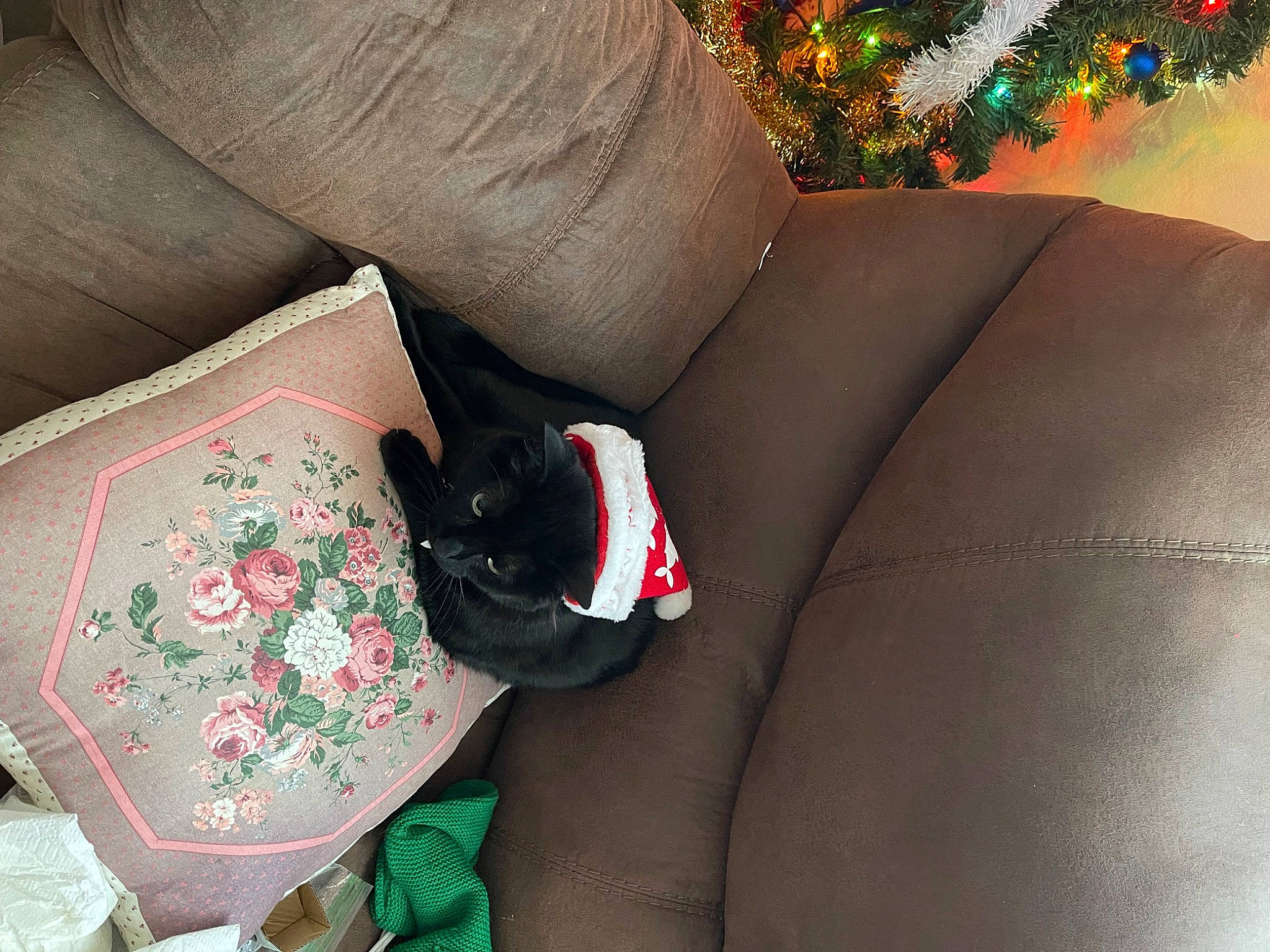 Xzerion is registered to the contest to win money with this photo: carmine, comfort, event, fashion_accessory, finger, foot, gesture, human_leg, jewellery, knee, leg, linens, magenta, nail, ornament, pattern, petal, plant, thigh, wrist