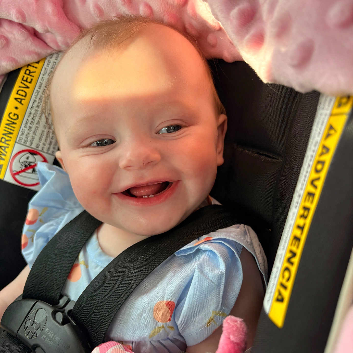 Athea joined the competition — help win amazing prizes! baby, car_seat, smile, child, infant, blanket, seat_belt, happy, cute, indoors, clothing, pink, toy, face, portrait, safety, child_seat, baby_girl, close_up, sunlight