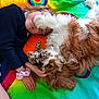 child, dog, pet, playing, cuddling, toy, colorful_blanket, rainbow, happy, smiling, glasses, long_hair, paw, fur, indoors, casual_clothing, relaxed, friendship, cute, comfort
