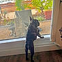 dog, french_bulldog, window, indoor, outdoor, plants, curtain, wooden_floor, pet, collar, chain_collar, garden, rocks, sunlight, house, back_view, standing, curious, daylight, home