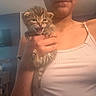 Gargaroth joined the competition — help win amazing prizes! kitten, cat, person, hand, indoor, tank_top, furniture, cat_tree, television, room, feline, young, pet, cute, animal, small, holding, expression, domestic, cozy