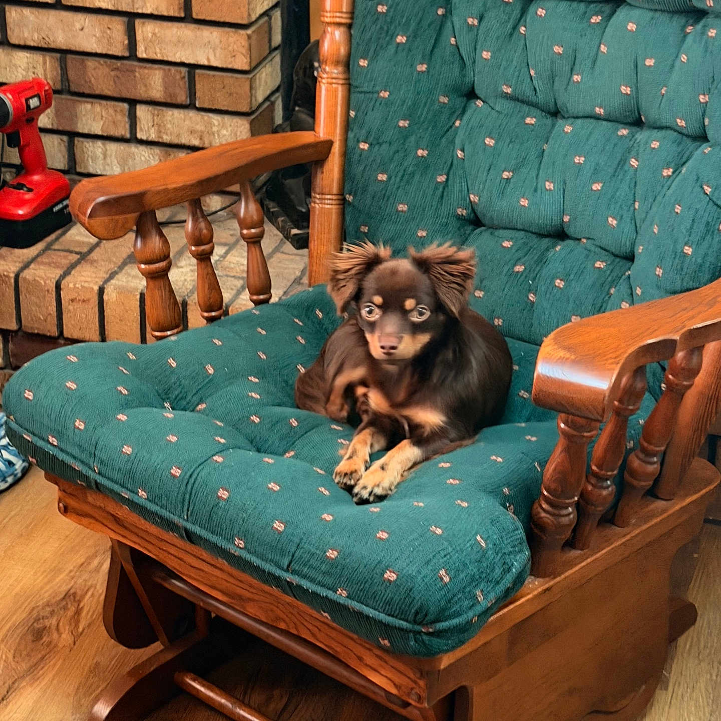 Bella
