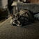 Binx
