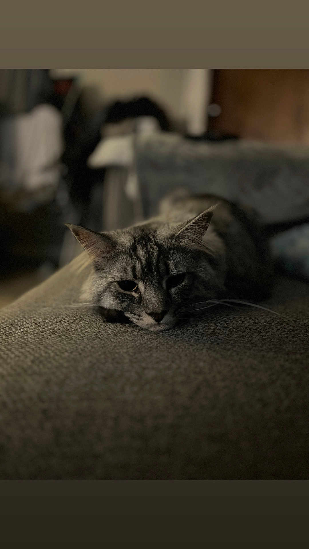 Binx