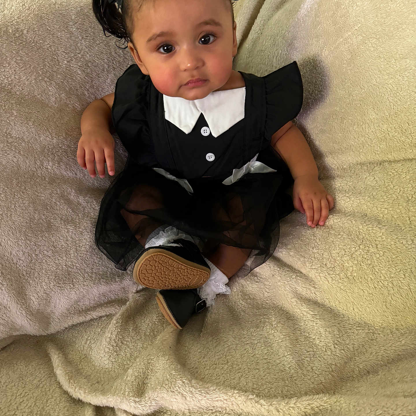 Arlette is registered to the contest to win money with this photo: baby, black_dress, blanket, bows, buttons, child, clothing, cute, expression, eyes, face, girl, indoors, pigtails, portrait, shoes, sitting, soft_texture, toddler, white_collar