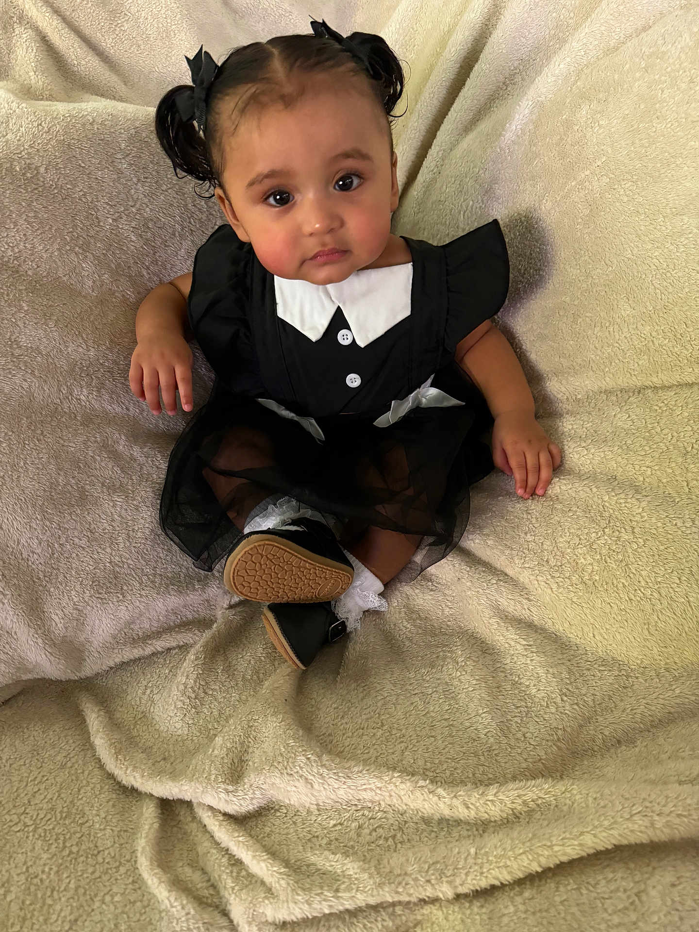 Arlette is registered to the contest to win money with this photo: toddler, child, girl, black_dress, pigtails, bows, sitting, blanket, indoors, portrait, cute, face, eyes, shoes, white_collar, buttons, soft_texture, expression, baby, clothing