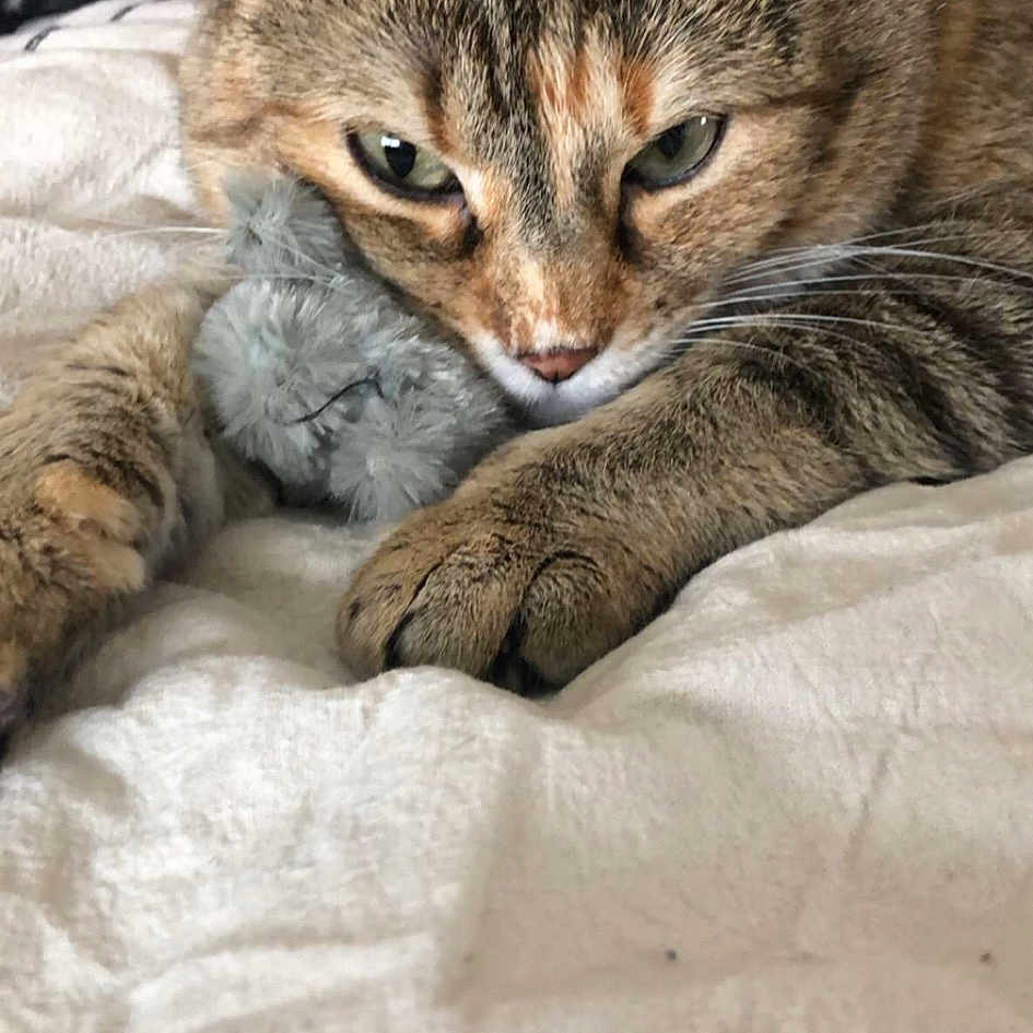 Penelope Luanne