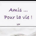 Basille M.