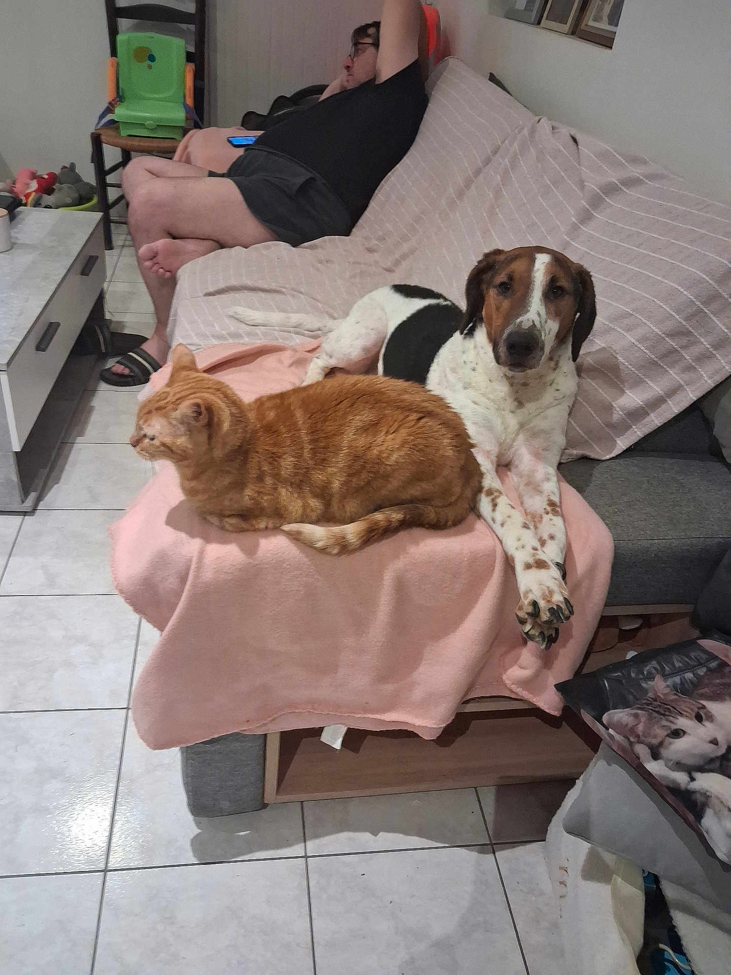 Zoé participe au concours pour gagner de l'argent avec cette photo : cat, dog, person, couch, blanket, tile_floor, living_room, pillow, phone, slippers, coffee_table, chair, toys, orange_cat, mixed_breed_dog, sleeping_person, pet_pair, cozy, throw_blanket, home_interior