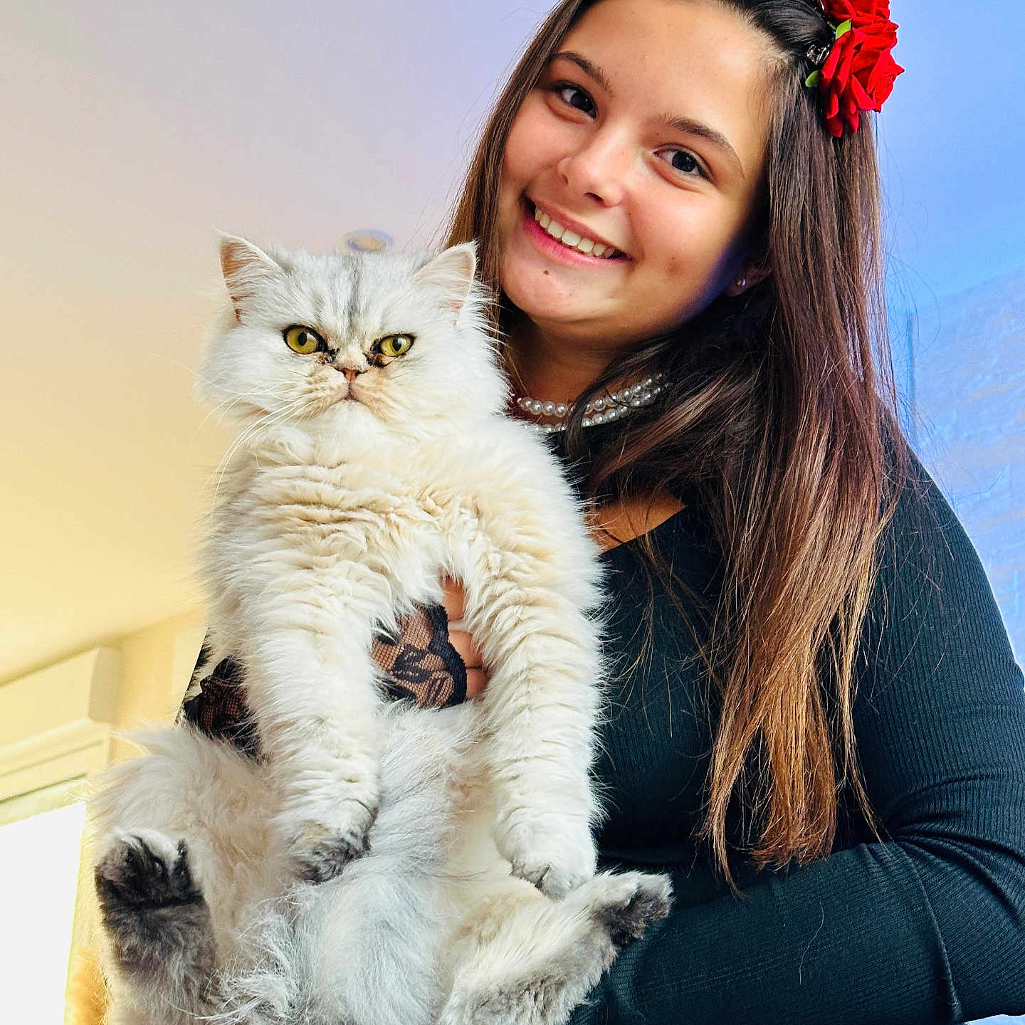 Dior a rejoint le concours — aidez-le/la à gagner de superbes lots ! adult, animal, cat, clothing, face, female, flower, flowerarrangement, flowerbouquet, formalwear, happy, head, kitten, person, pet, photography, plant, portrait, smile, woman