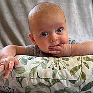 Milo joined the competition — help win amazing prizes! baby, infant, child, face, hand, pillow, pattern, leaf, green, gray, blanket, skin, eyes, fingers, sucking, indoor, portrait, cute, curious, soft