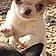 Toby