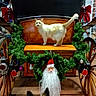 animal, beard, carriage, cat, christmas, decorations, dog, face, festive, floor, fur, garland, holiday, indoor, lighting, pet, red_bow, santa_claus, wheel, wood