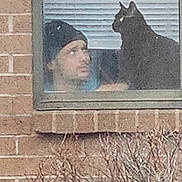 Junior is registered to the contest to win money with this photo: person, cat, window, brick_wall, beanie, indoor, pet, looking, black_cat, face, animal, glass, bush, plant, daytime, house, window_blinds, sitting, headwear, reflection