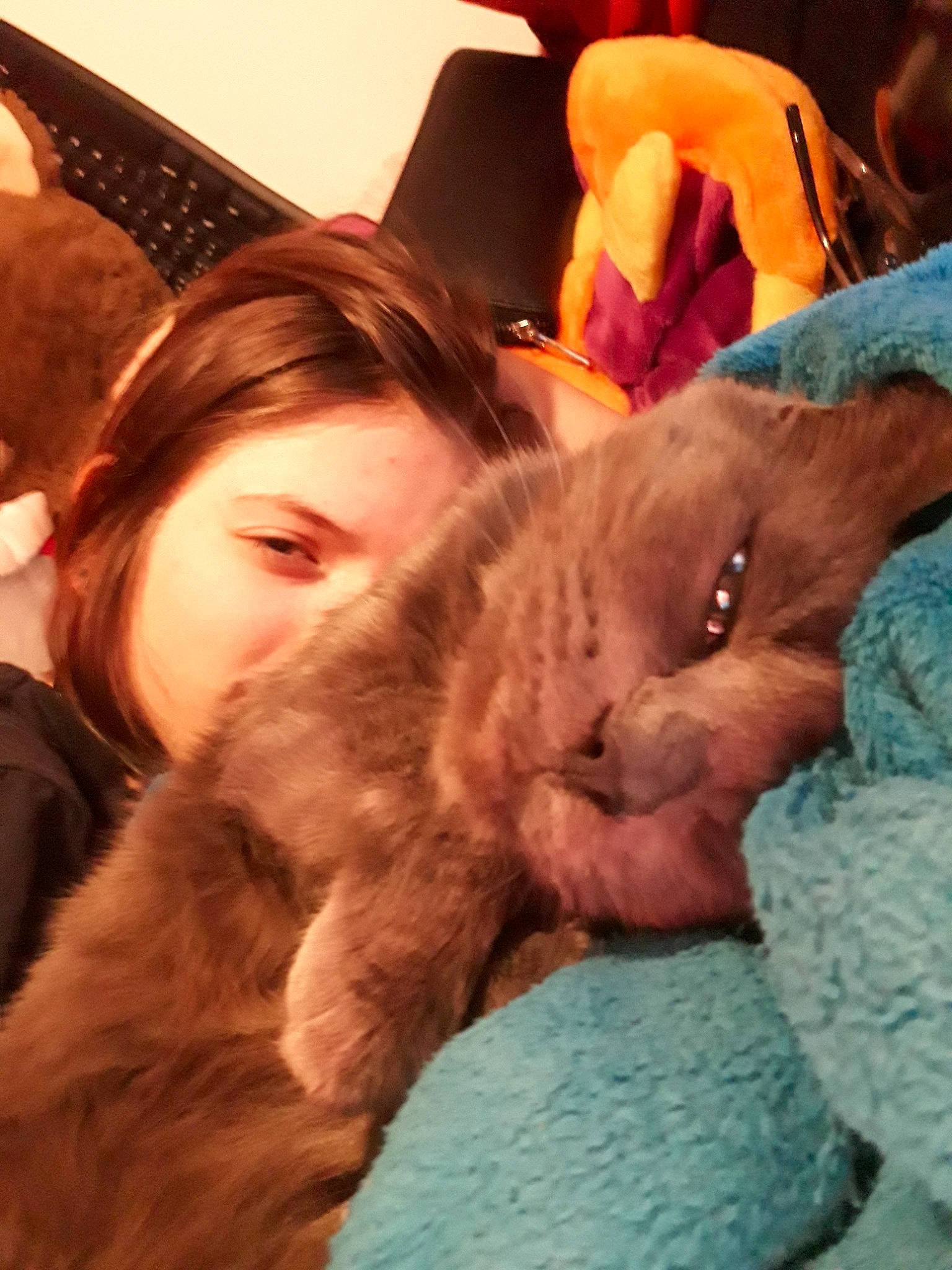 Lola a rejoint le concours — aidez-le/la à gagner de superbes lots ! cat, ear, fun, fur, girl, kitten, mammal, mouth, nose, organ, person, skin, textile, vertebrate, whiskers