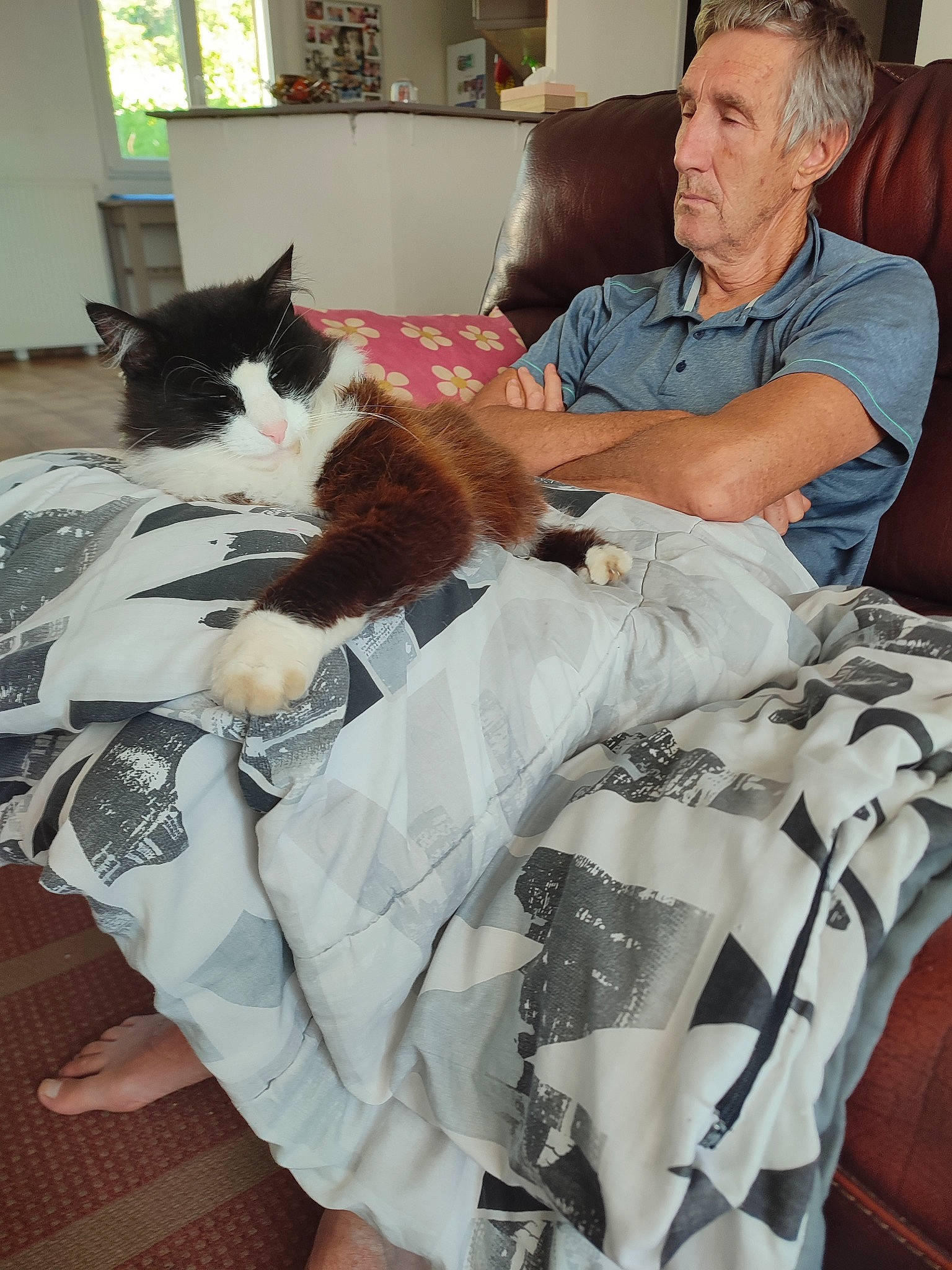 Calin participe au concours pour gagner de l'argent avec cette photo : bedding, blanket, carnivore, cat, comfort, companion_dog, couch, event, felidae, formal_wear, fur, hair, lap, linens, room, sitting, small_to_medium_sized_cats, t_shirt, textile, whiskers