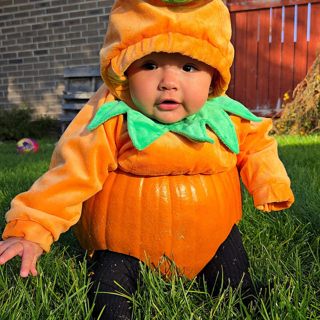 Kionna joined the competition — help win amazing prizes! autumn, baby, baby_clothing, brick_wall, child, costume, cute, daylight, fall, fence, garden, grass, green, hat, orange, outdoor, playful, portrait, pumpkin_costume, sitting