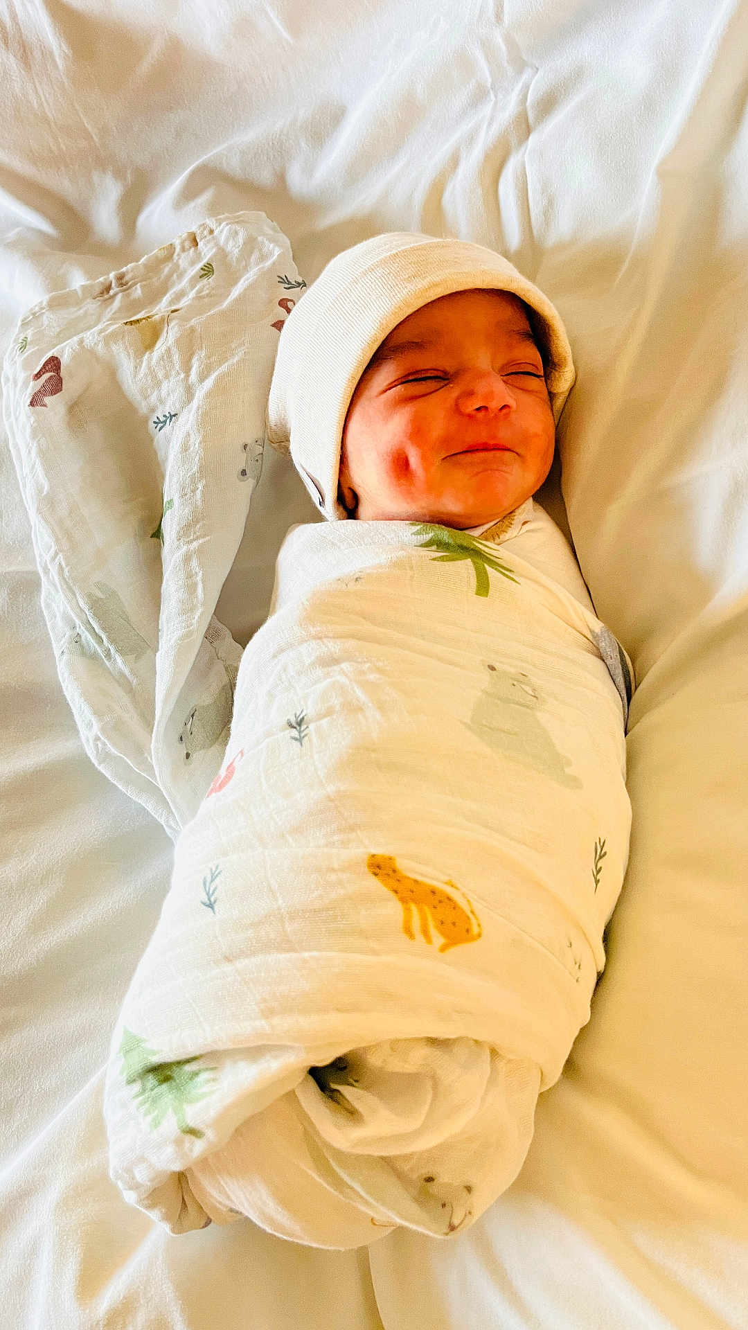 Agastya joined the competition — help win amazing prizes! baby, newborn, swaddled, blanket, beanie, smile, dimple, bed, white, cute, animal_print, soft, cozy, infant, child, resting, sleepy, happy, wrapped, portrait