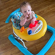 Arya is registered to the contest to win money with this photo: baby, child, walker, toy, snack, floor, indoor, blue, yellow, red, orange, curly_hair, person, seat, play, young_child, looking_up, chewing, colorful, wooden_floor