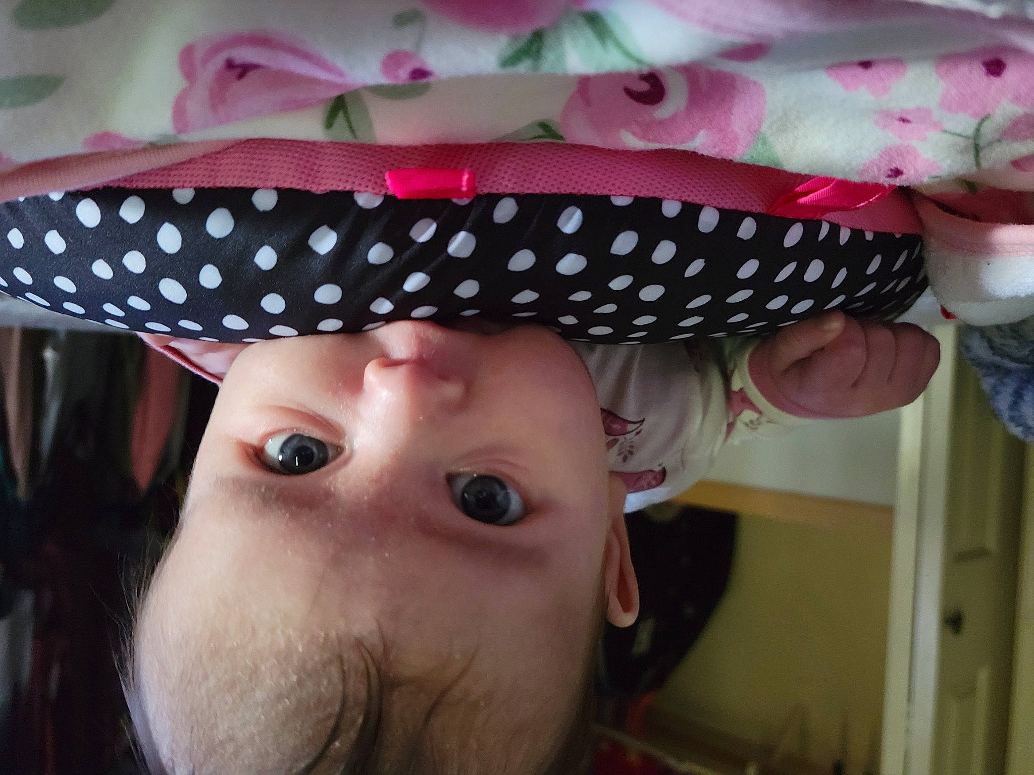 Eden is registered to the contest to win money with this photo: baby, beard, cap, chin, costume, costume_accessory, costume_hat, creative_arts, eyelash, fashion_accessory, fedora, hat, headgear, lip, magenta, party_supply, pattern, person, pink, sun_hat