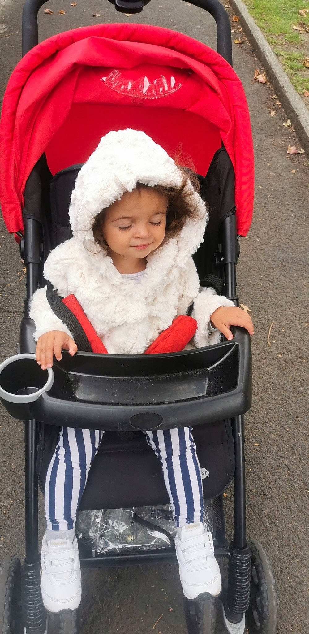 Amel participe au concours pour gagner de l'argent avec cette photo : baby_carriage, baby_products, child, fur, fur_clothing, headwear, person, product, winter