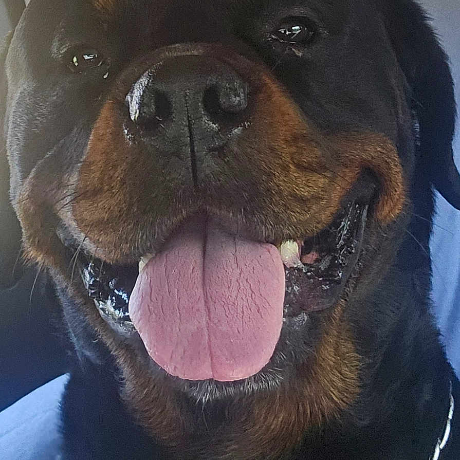 Cash