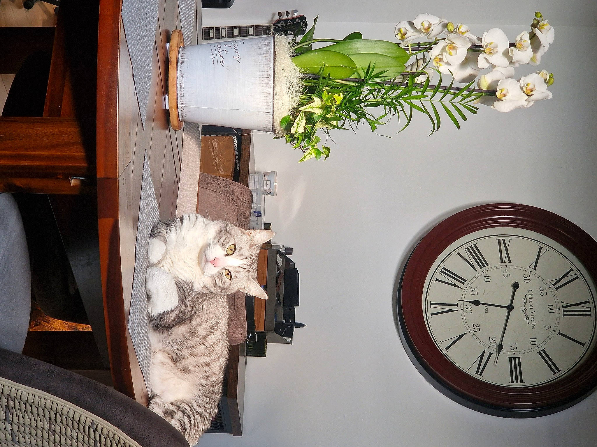 Miracle participe au concours pour gagner de l'argent avec cette photo : artificial_flower, circle, clock, cut_flowers, dress, floral_design, flower, flower_arranging, flowerpot, font, houseplant, interior_design, petal, plant, quartz_clock, room, tree, twig, white, wood