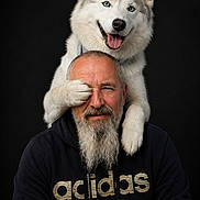 Taya a rejoint le concours — aidez-le/la à gagner de superbes lots ! dog, husky, man, beard, smiling, pet, black_background, hoodie, adidas, playful, happy, portrait, animal, friendship, cute, indoor, studio, funny, paw, human