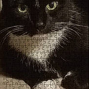 Scarlett joined the competition — help win amazing prizes! cat, black_cat, white_whiskers, green_eyes, puzzle, jigsaw_puzzle, pet, animal, close_up, face, website, mobile_screen, text, product_page, advertisement, support_animals, home_page, online_store, scarlett, animal_welfare