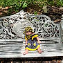 Arabella is registered to the contest to win money with this photo: baby, bench, clothing, face, furniture, grass, hat, head, nature, outdoors, park, person, photography, plant, portrait, shorts, sitting, soil, tree, vegetation