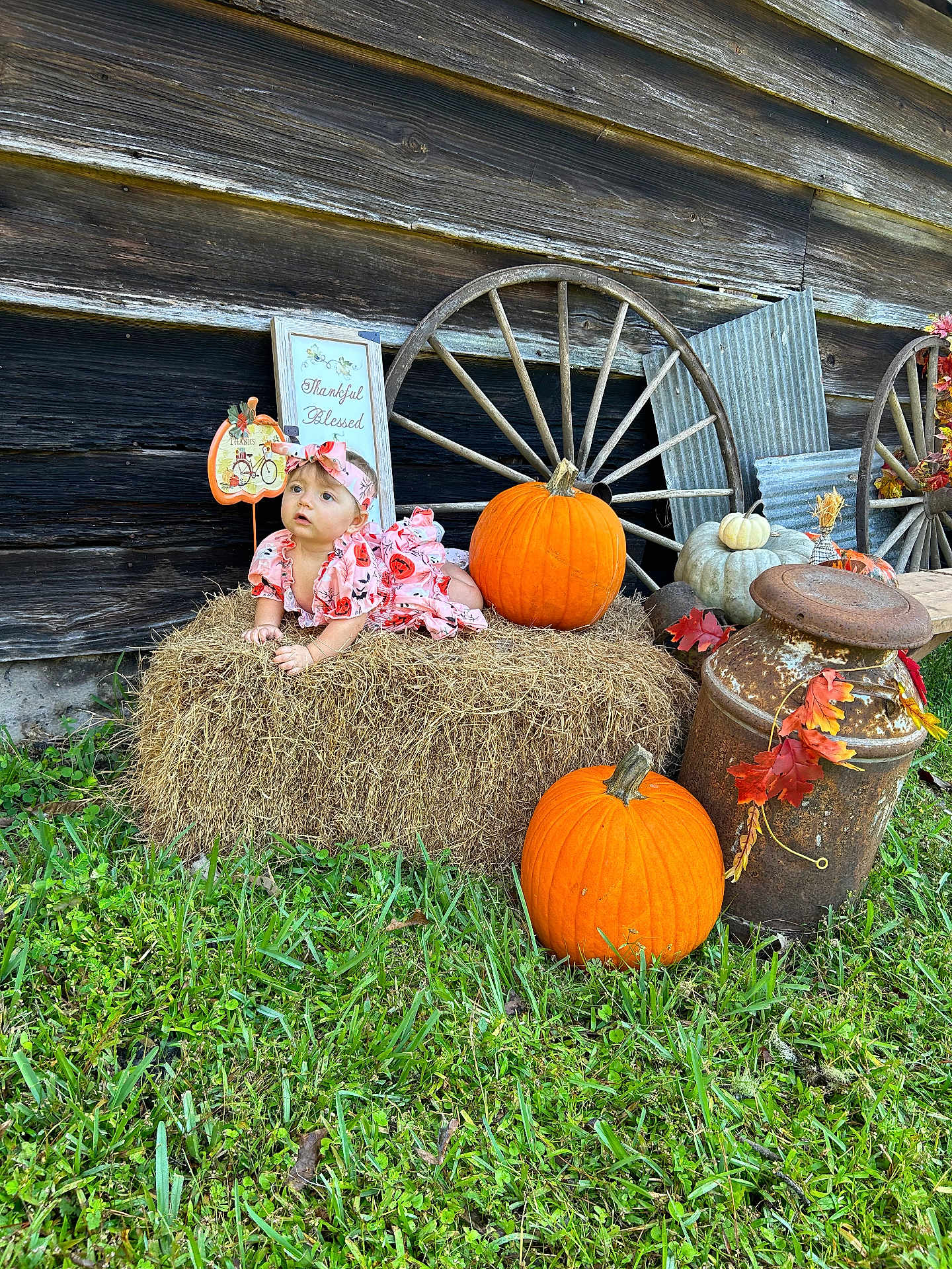 Arabella is registered to the contest to win money with this photo: baby, countryside, face, food, grass, head, machine, nature, outdoors, person, photography, plant, portrait, produce, pumpkin, squash, straw, tin, vegetable, wheel