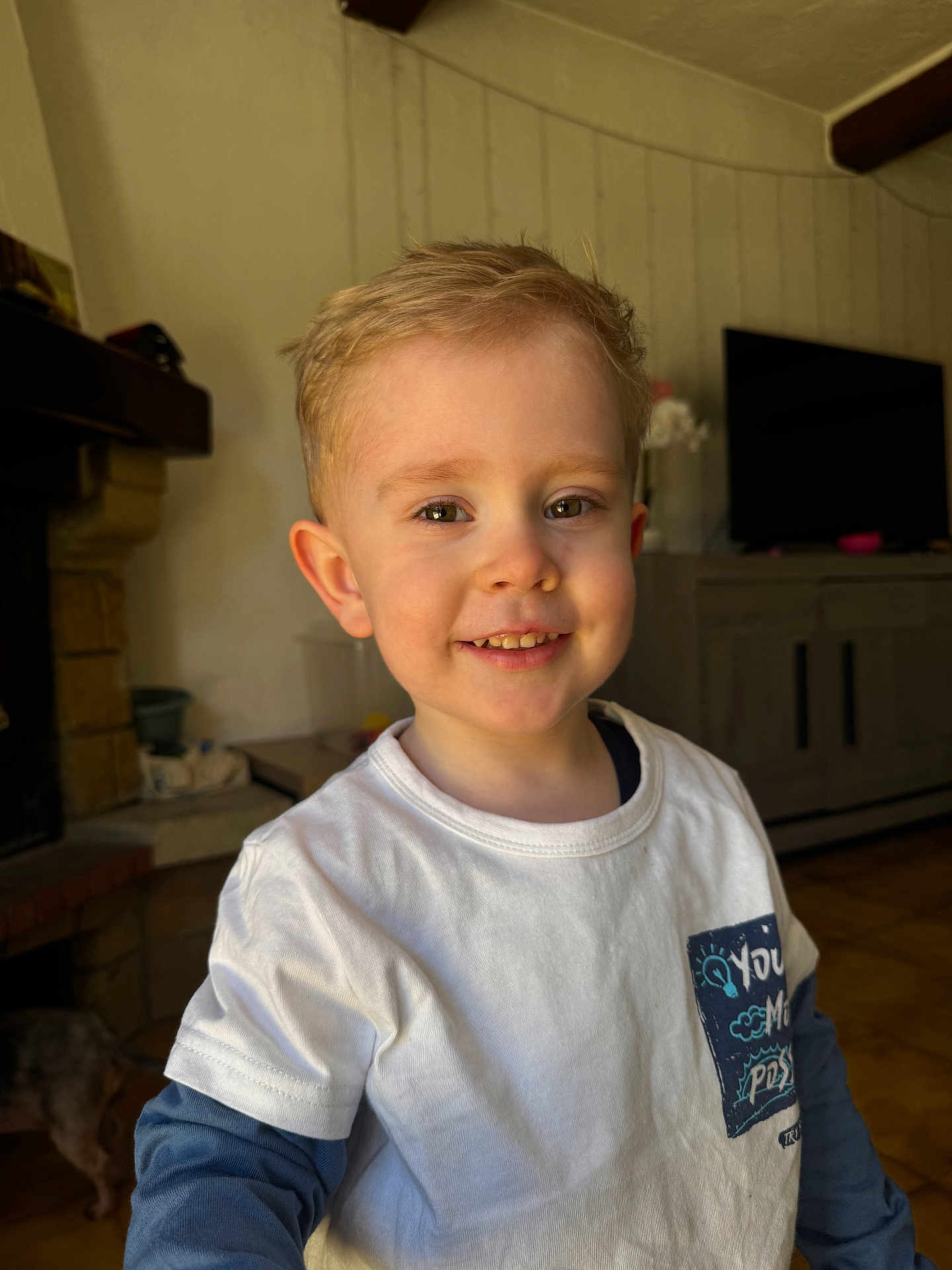Adil is registered to the contest to win money with this photo: child, boy, smile, portrait, indoor, tshirt, blond_hair, short_hair, eyes, face, living_room, television, fireplace, furniture, floor, happy, cute, candid, pet, home