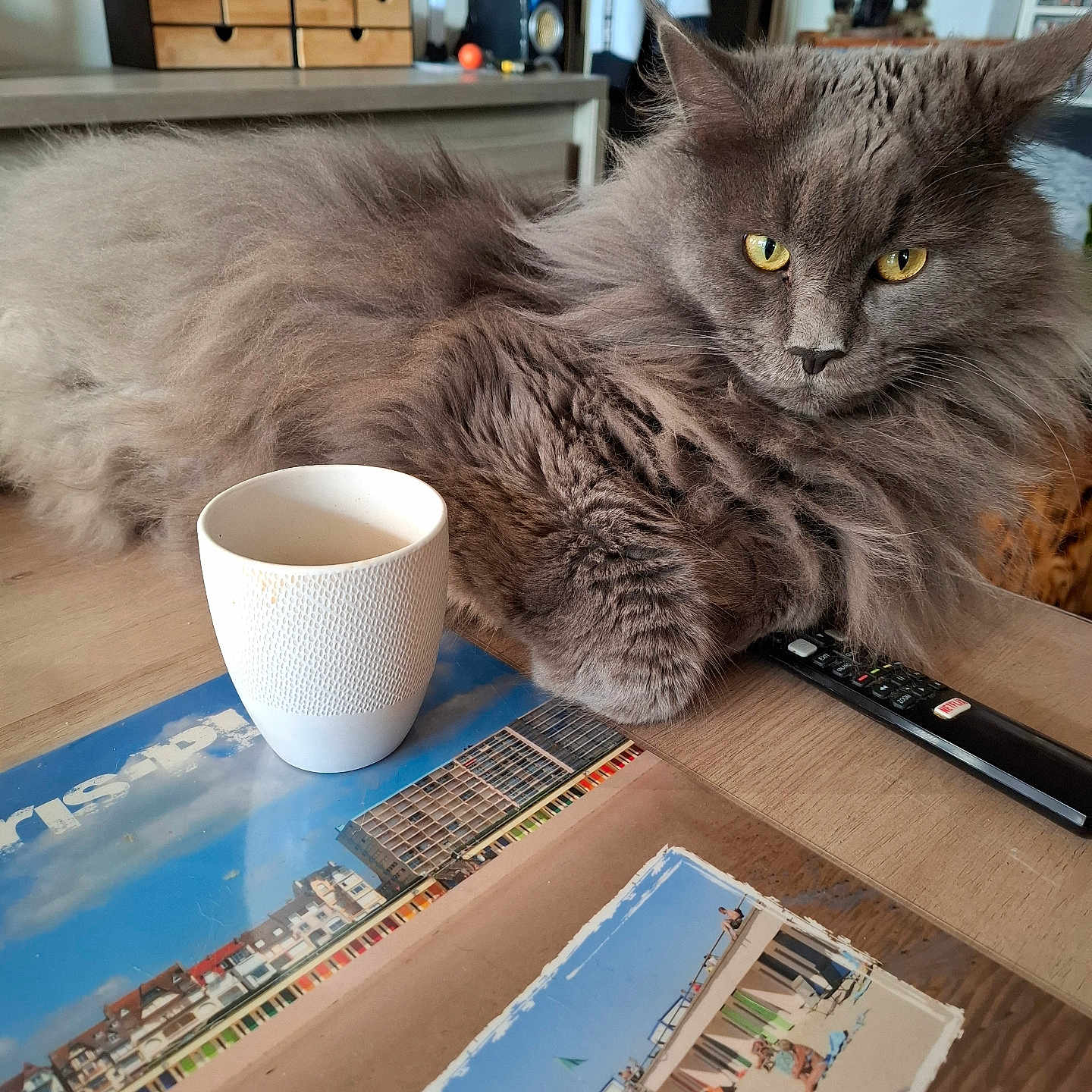 Rajah