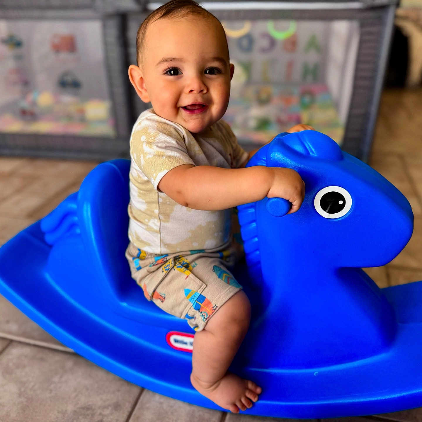Jasper joined the competition — help win amazing prizes! baby, bathroom, bodypart, car, clothing, face, furniture, head, indoors, outdoors, person, photography, playarea, portrait, room, shorts, sitting, toilet, transportation, vehicle