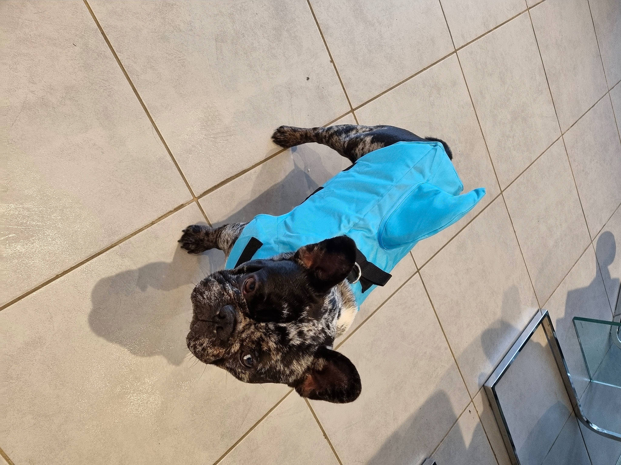 Boston participe au concours pour gagner de l'argent avec cette photo : adventure, asphalt, city, cobblestone, concrete, electric_blue, fashion_accessory, flooring, fun, human_leg, leisure, pedestrian, recreation, road_surface, shadow, sidewalk, sitting, street