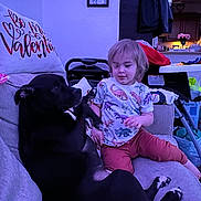 Baby Girl is registered to the contest to win money with this photo: toddler, dog, black_dog, sofa, couch, indoor, child, pet, dinosaur_shirt, pillow, wall_art, home, living_room, playful, casual, furniture, relaxed, curious, child_and_pet, family