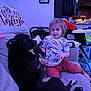 toddler, dog, black_dog, sofa, couch, indoor, child, pet, dinosaur_shirt, pillow, wall_art, home, living_room, playful, casual, furniture, relaxed, curious, child_and_pet, family