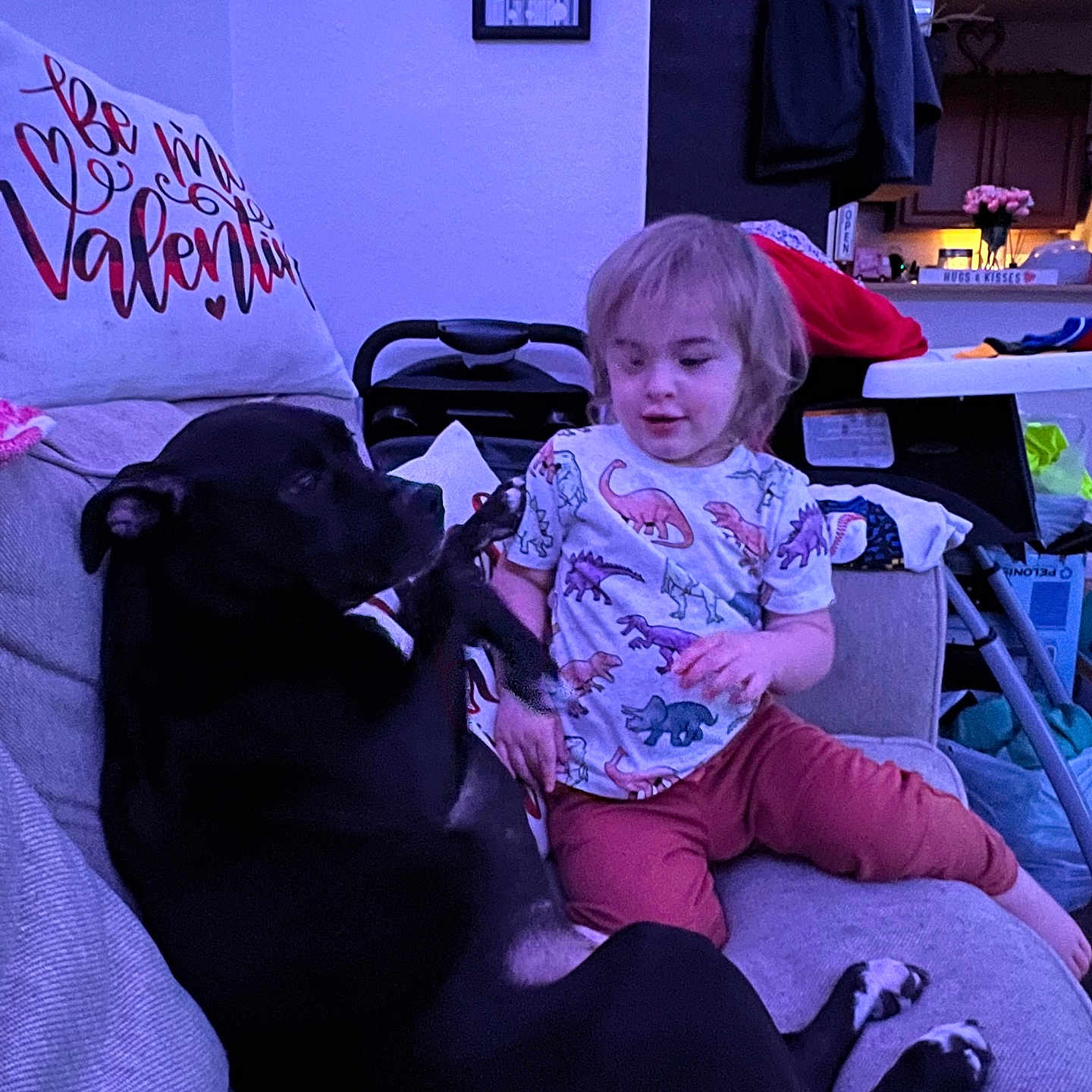 Baby Girl is registered to the contest to win money with this photo: black_dog, casual, child, child_and_pet, couch, curious, dinosaur_shirt, dog, family, furniture, home, indoor, living_room, pet, pillow, playful, relaxed, sofa, toddler, wall_art