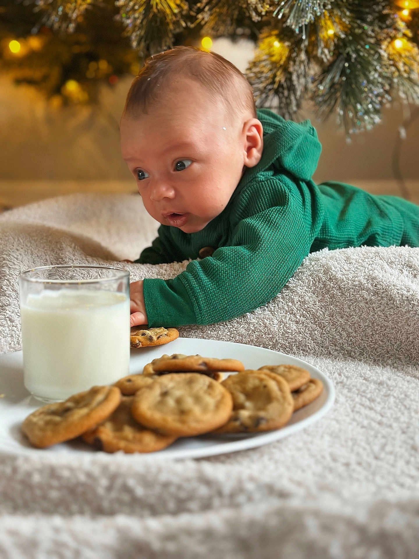 Pedro is registered to the contest to win money with this photo: baby, beverage, bread, breakfast, cookie, cracker, face, food, glass, head, lunch, meal, milk, person, photography, plant, portrait, pottedplant, snack, sweets