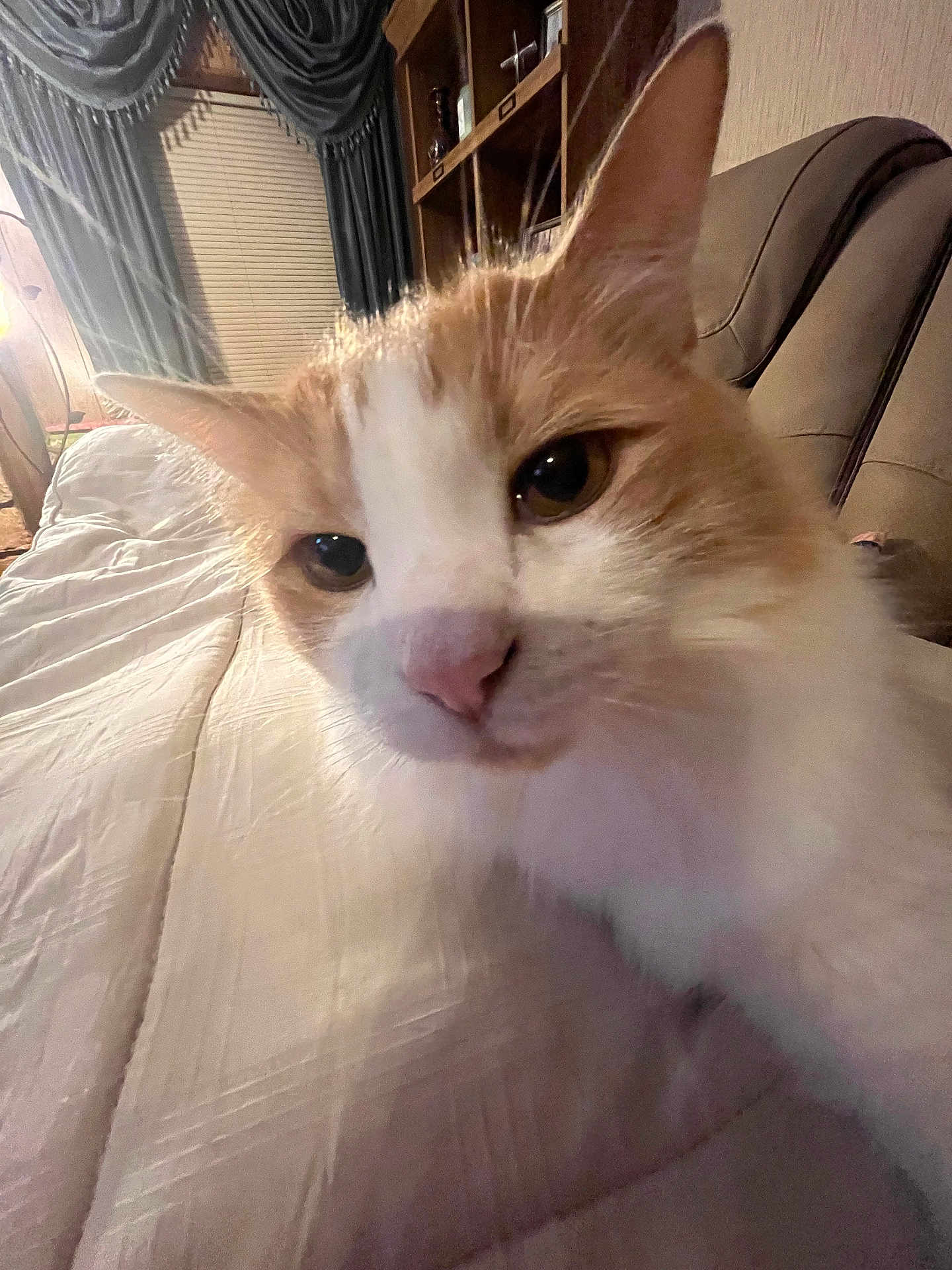 Marshmallow
