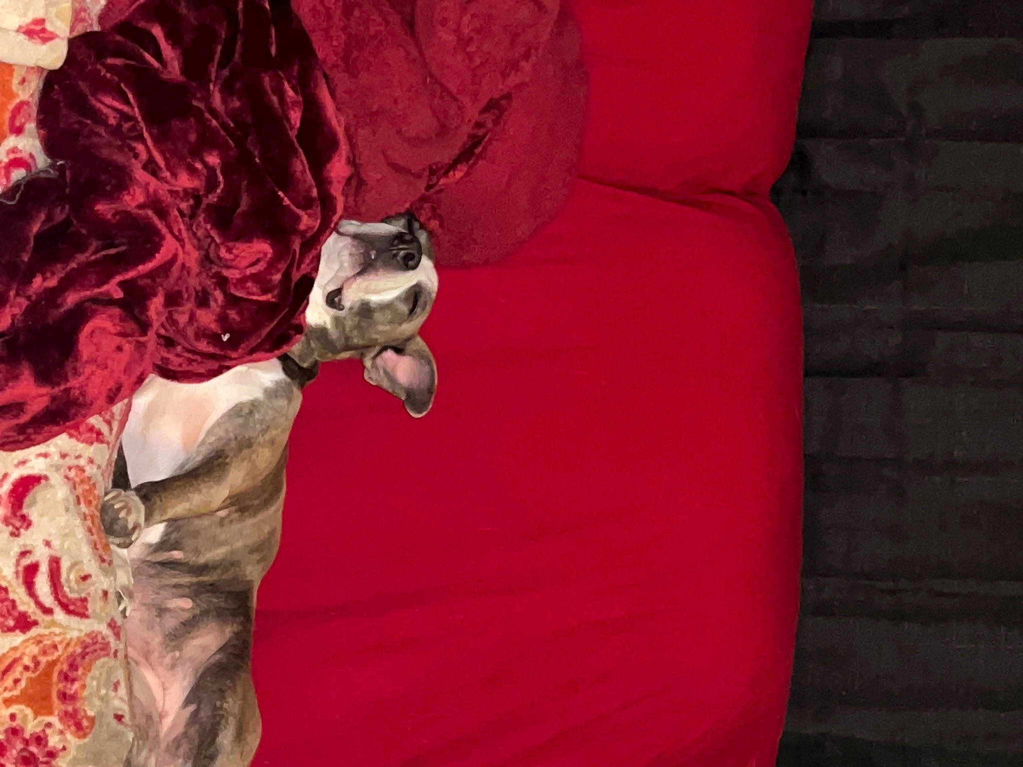 Chloe joined the competition — help win amazing prizes! cg_artwork, comfort, costume_design, couch, dress, event, fashion_design, formal_wear, gown, linens, magenta, orange, outerwear, peach, red, red_hair, satin, silk, sleeve, wood