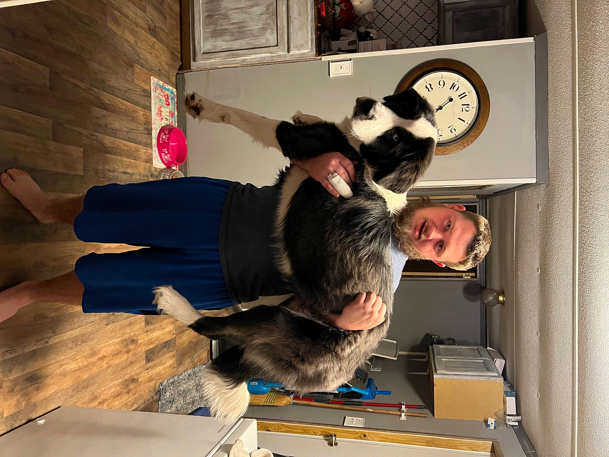 Nala joined the competition — help win amazing prizes! audio_equipment, circle, fashion_accessory, flooring, fun, hardwood, mechanical_fan, picture_frame, room, wood