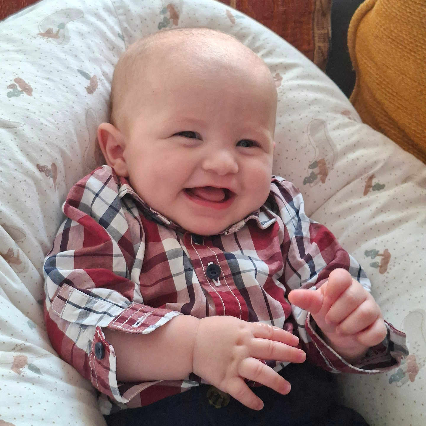 Maxym a rejoint le concours — aidez-le/la à gagner de superbes lots ! baby, child, clothing, comfortable, cozy, cushion, face, furniture, hand, happy, head, indoor, infant, laughing, patterned, person, plaid_shirt, seated, skin, smile