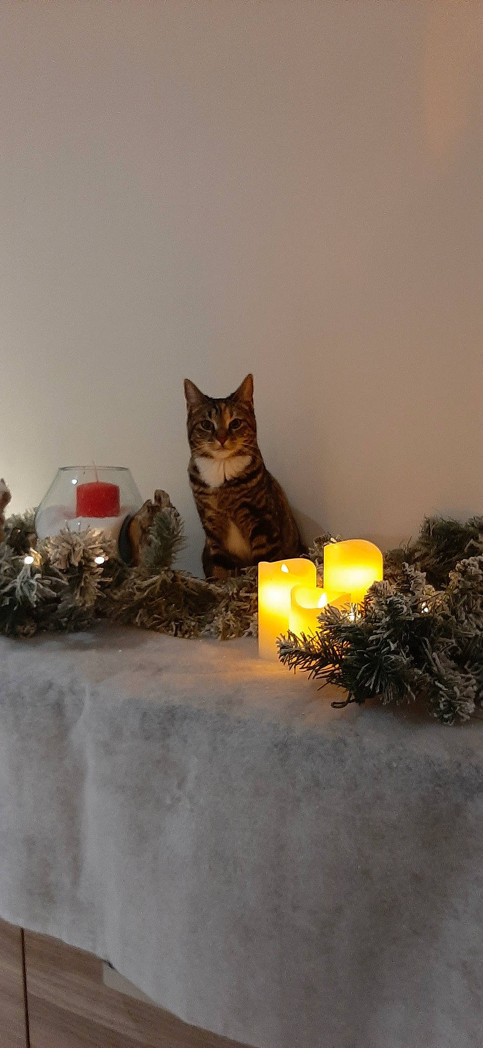 Nala