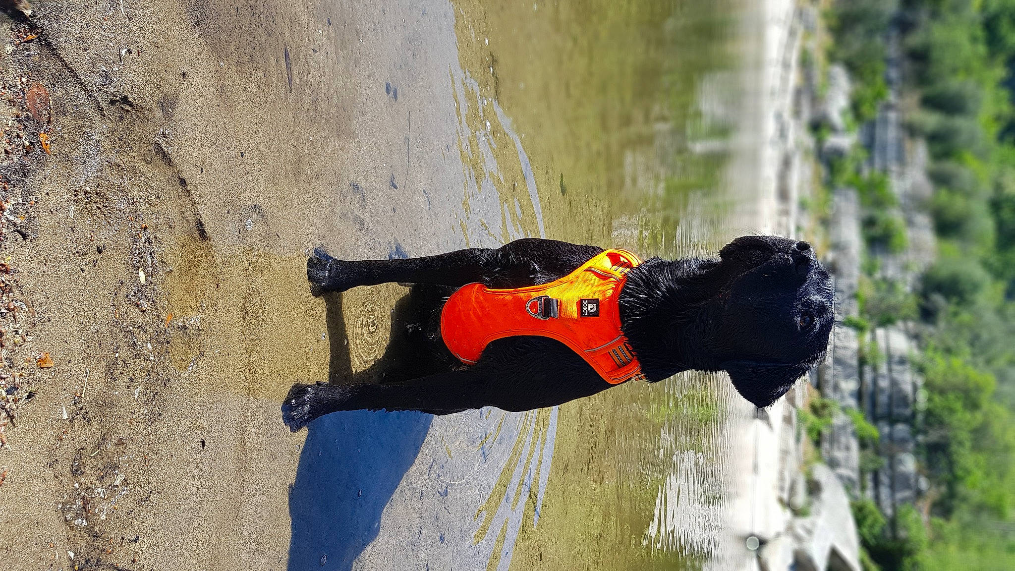 Ramsès participe au concours pour gagner de l'argent avec cette photo : adventure, extreme_sport, fun, glove, grass, hat, landscape, personal_protective_equipment, plant, recreation, shadow, soil, stunt_performer, tree, water, window