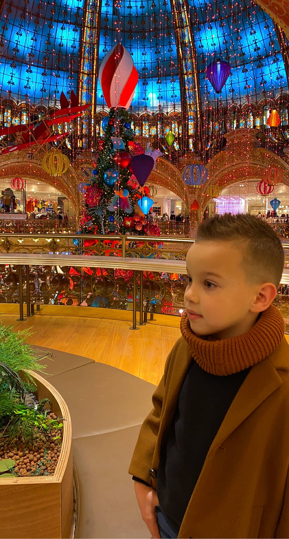 David a rejoint le concours — aidez-le/la à gagner de superbes lots ! architecture, city, event, fun, holiday, human_settlement, landmark, leisure, light, lighting, people, person, plant, public_space, recreation, snapshot, temple, toddler, travel, tree