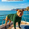 Volt a rejoint le concours — aidez-le/la à gagner de superbes lots ! animal, boat, boots, canine, clothing, clouds, coast, dog, fashion, ocean, outdoor, pet, portrait, rocky, sea, sky, sunny, sweater, water, yacht
