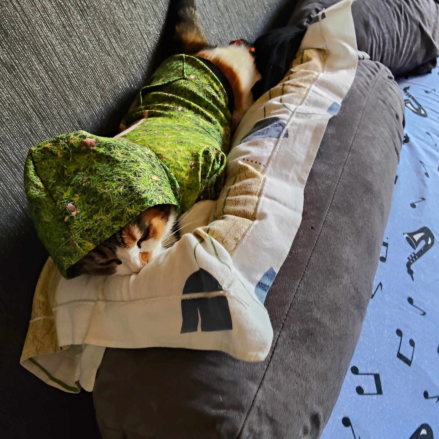 Maât participe au concours pour gagner de l'argent avec cette photo : animal, blanket, cat, costume, couch, cozy, cute, domestic, feline, fur, green, indoor, leaf_pattern, pattern, pet, pillow, relaxation, resting, sleeping, soft