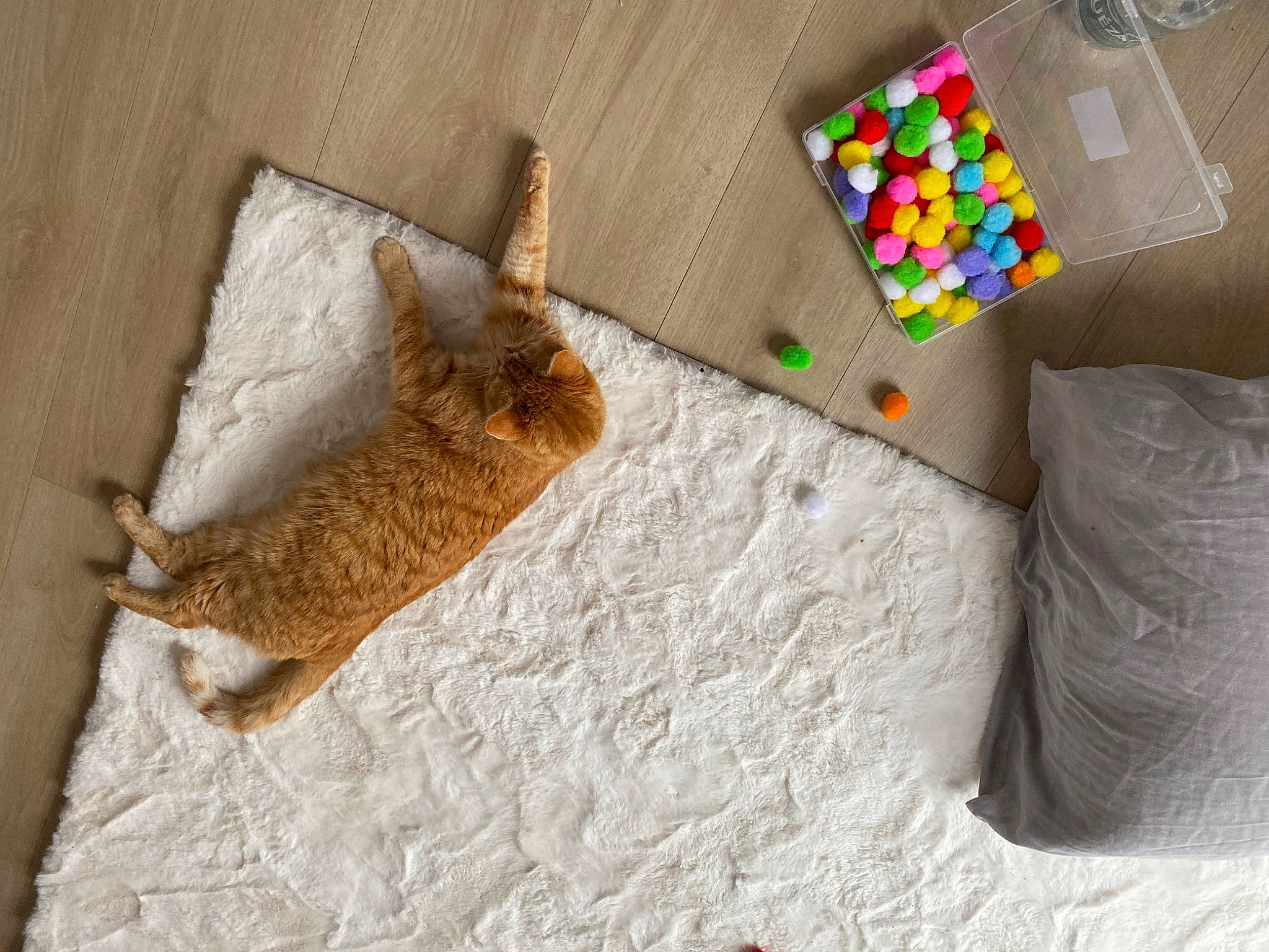 Chaminou a rejoint le concours — aidez-le/la à gagner de superbes lots ! art, couch, domestic_short_haired_cat, fawn, felidae, flooring, fur, linens, mammal, pattern, paw, room, small_to_medium_sized_cats, stuffed_toy, tail, textile, toy, vertebrate, whiskers, wood