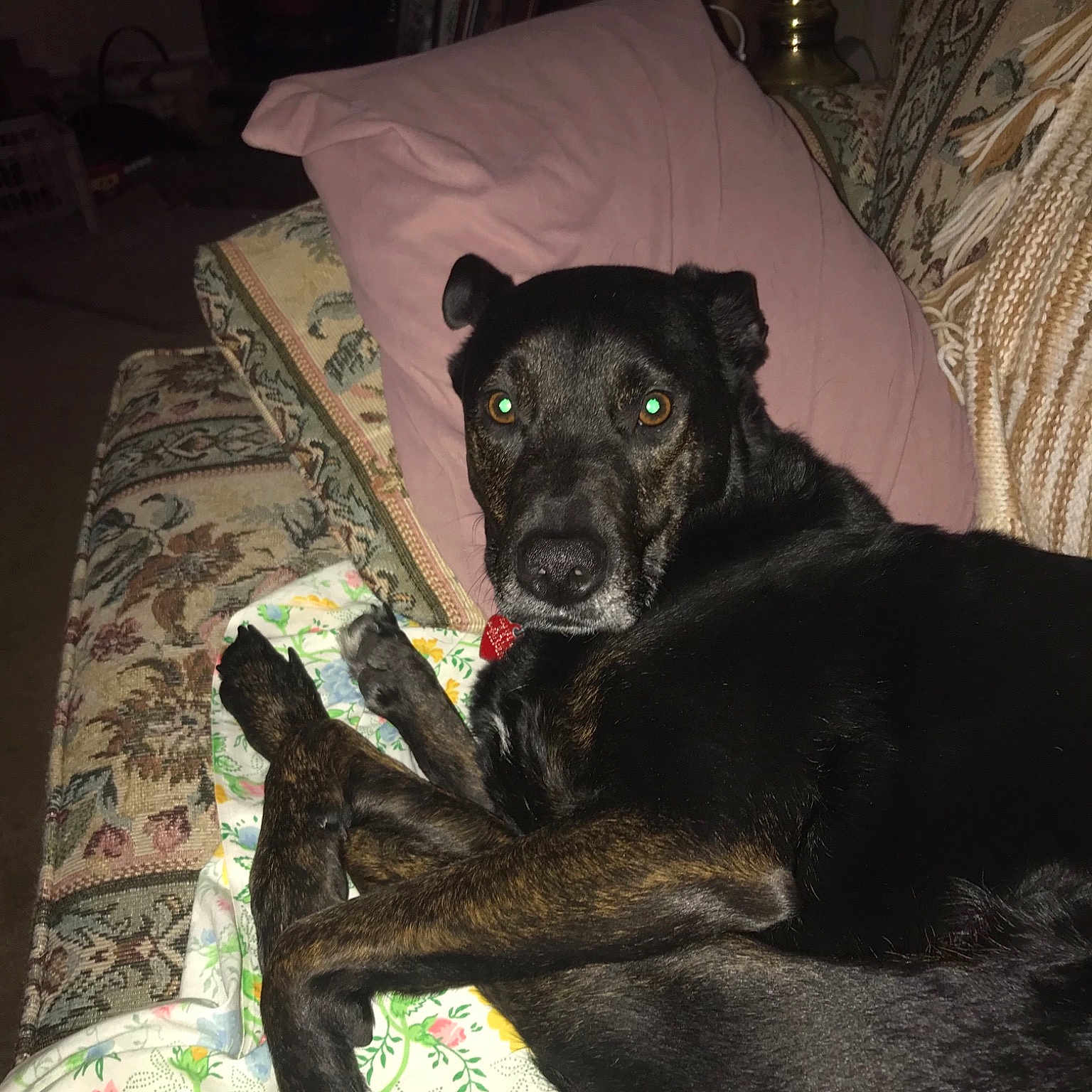 Sadie